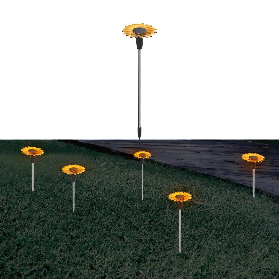 solar light