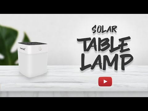 outdoor decorative lights-video