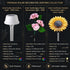 Promotional image of solar decorative lighting collection with product details.
