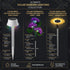 Solar garden lighting collection with descriptions and features on a dark background