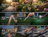 Step-by-step guide on how to use sunflower light, RGB spike light, and RGB ground light for decorative garden and pathway lighting.