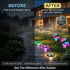 Before and after comparison of a dark outdoor space with solar lighting upgrades.