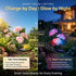 Hardoll Solar Hydrangea Flower Decorative Light – RGB, Waterproof | Solar Light for Home & Garden Outdoor India Pink