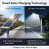 Hardoll 250W All-in-One Solar Street Light – Aluminium Body, Waterproof LED | Solar Light for Home & Garden India