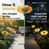 Hardoll Solar Sunflower Garden Decoration Light – Outdoor Waterproof | Solar Light for Home India Warm White (Refurbished, Pack of 4)