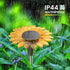solar light for home price
