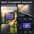 solar working mosquito killer light