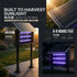solar bug killer light working hours