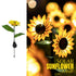 Hardoll Solar Lights Outdoor 20 LED Sunflower Lamp for Home Garden Waterproof Decoration (Warm White- Pack of 1)