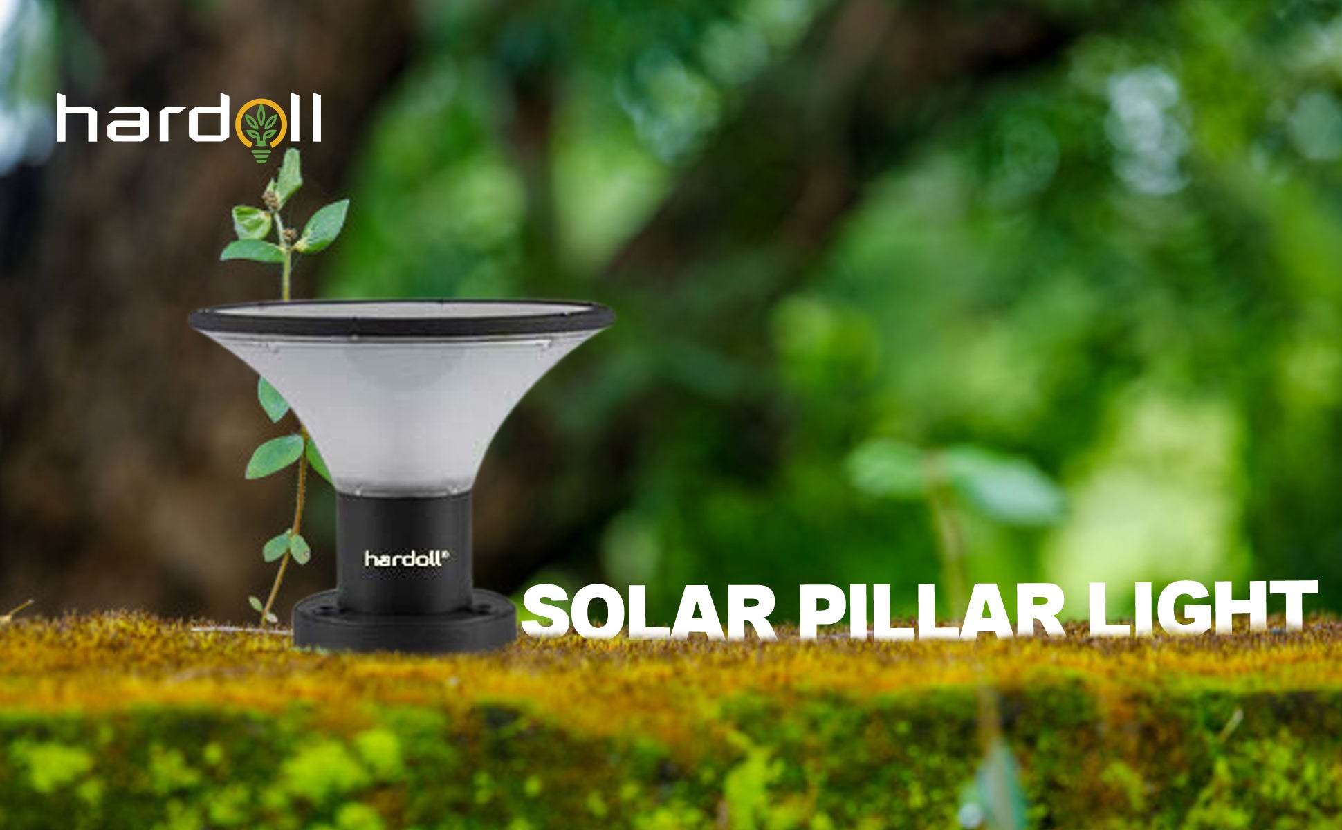 Solar Gate Lights for Enhanced Security Hardoll