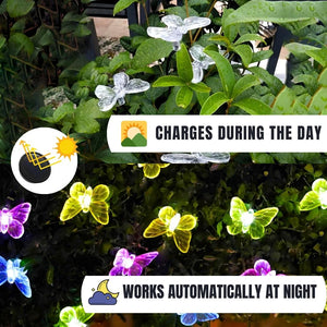 Hardoll Solar Lights Outdoor 6 LED Butterfly Lamp for Home Garden Waterproof Decoration(Multicolor- Pack of 1)