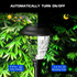 Hardoll Solar Decorative Pathway Lights for Home Outdoor Garden LED Warm White