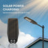 solar street light