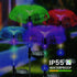 solar decoration light