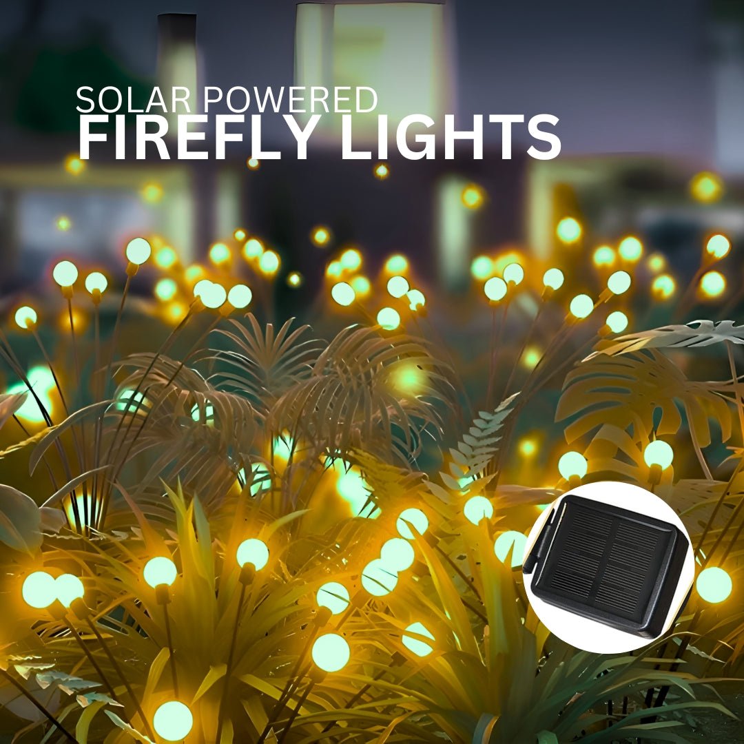 Hardoll Solar Lights Outdoor 6 LED Firefly Lamp for Home Garden Waterproof Decoration (Warm White-Pack of 1)(Refurbished) - Hardoll